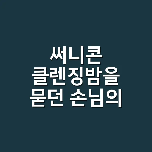 써니콘 클렌징밤을 묻던 손님의 손끝이 기억난다 - 요약