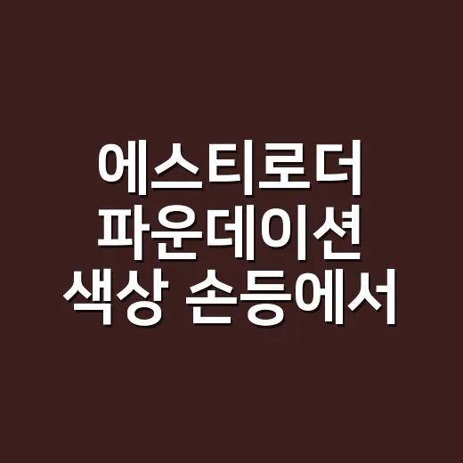 에스티로더 파운데이션 색상 손등에서 골랐다가 놀랐다 - 요약