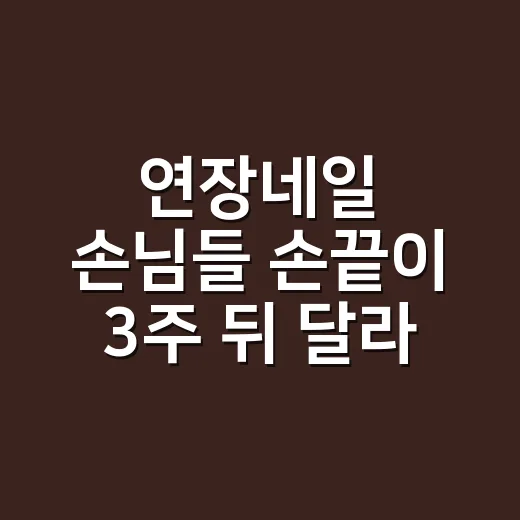 연장네일 손님들 손끝이 3주 뒤 달라진 이유 - 요약
