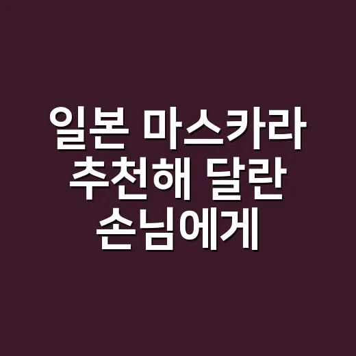 일본 마스카라 추천해 달란 손님에게 고른 네 가지 - 요약