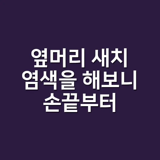 옆머리 새치 염색을 해보니 손끝부터 달라졌다 - 요약