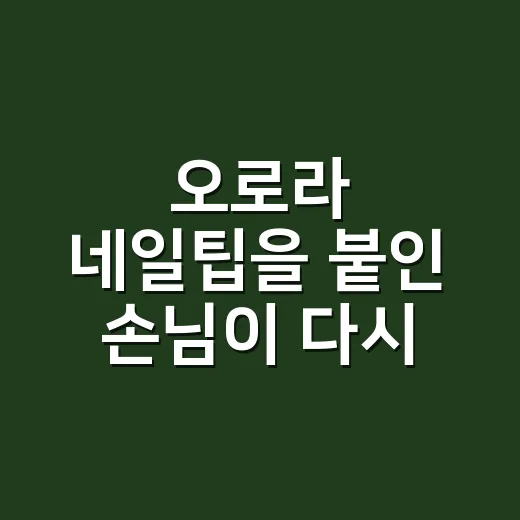 오로라 네일팁을 붙인 손님이 다시 찾아온 이유 - 요약