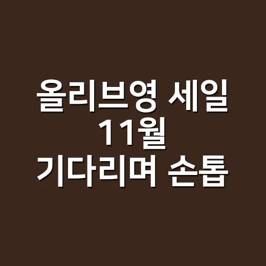 올리브영 세일 11월 기다리며 손톱 장바구니를 바꿨다 - 요약