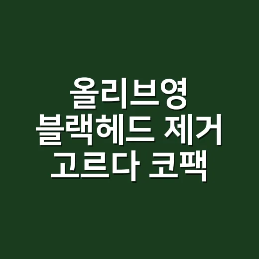올리브영 블랙헤드 제거 고르다 코팩 대신 바꾼 것 - 요약