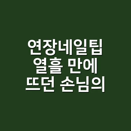 연장네일팁 열흘 만에 뜨던 손님의 손을 다시 봤다 - 요약