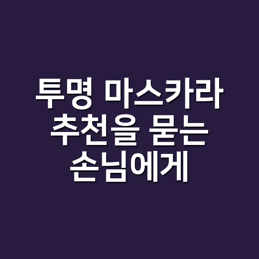 투명 마스카라 추천을 묻는 손님에게 해준 말 - 요약