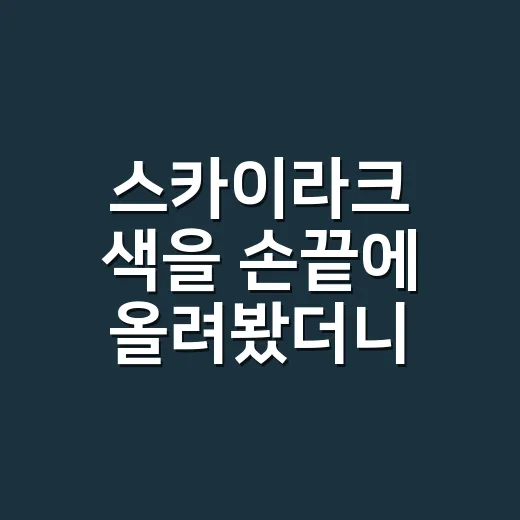 스카이라크 색을 손끝에 올려봤더니 - 요약