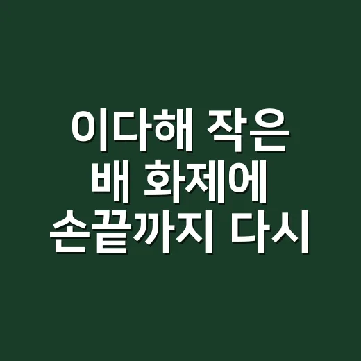 이다해 작은 배 화제에 손끝까지 다시 보게 됐다 - 요약