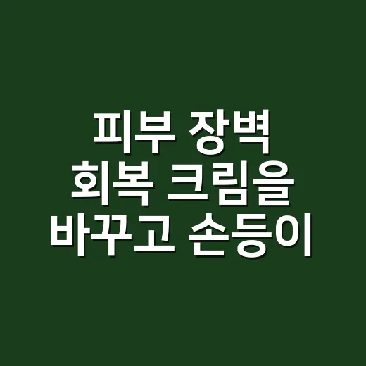 피부 장벽 회복 크림을 바꾸고 손등이 달라진 이야기 - 요약