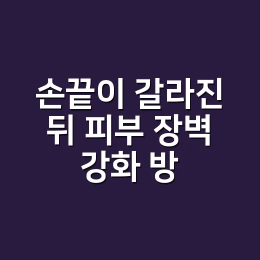 손끝이 갈라진 뒤 피부 장벽 강화 방법을 바꿨다 - 요약