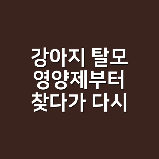 강아지 탈모 영양제부터 찾다가 다시 생각한 이유 - 요약