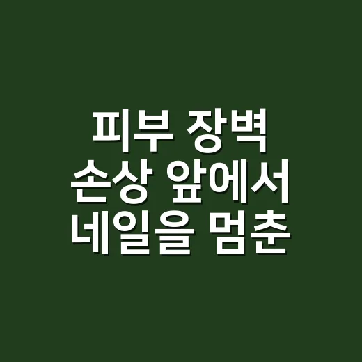 피부 장벽 손상 앞에서 네일을 멈춘 날 - 요약
