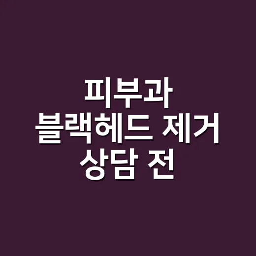 피부과 블랙헤드 제거 상담 전 손님과 나눈 이야기 - 요약