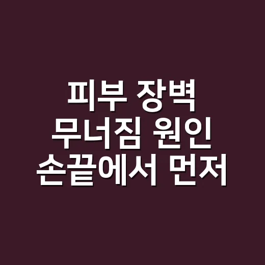 피부 장벽 무너짐 원인 손끝에서 먼저 보였어요 - 요약