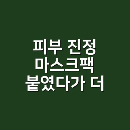 피부 진정 마스크팩 붙였다가 더 따가웠던 날 - 요약