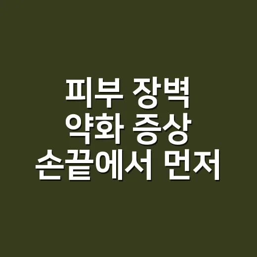 피부 장벽 약화 증상 손끝에서 먼저 느꼈어요 - 요약