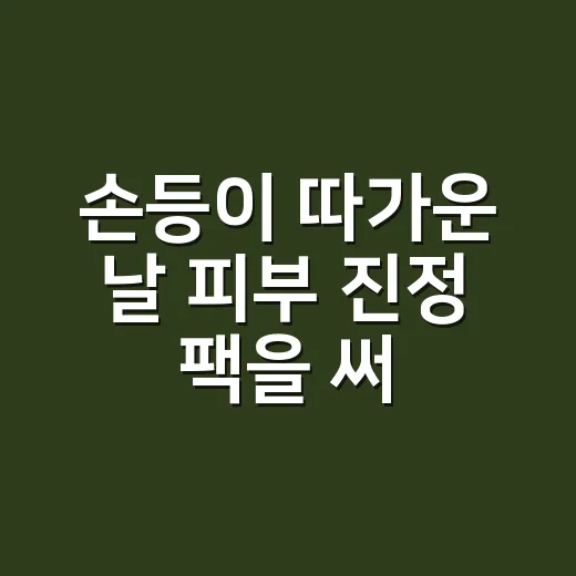 손등이 따가운 날 피부 진정 팩을 써봤더니 - 요약