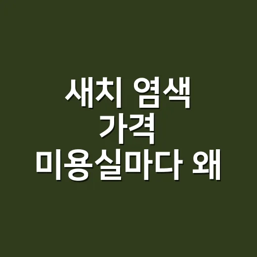 새치 염색 가격 미용실마다 왜 다른지 물어봤다 - 요약