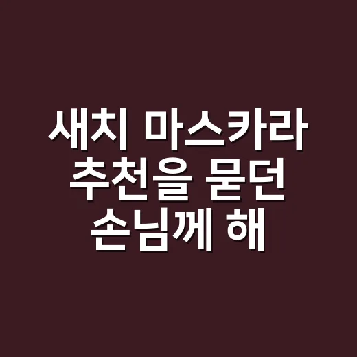 새치 마스카라 추천을 묻던 손님께 해준 말 - 요약