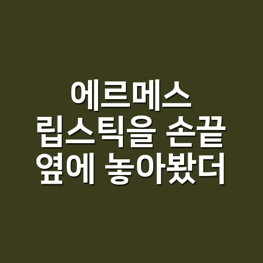 에르메스 립스틱을 손끝 옆에 놓아봤더니 - 요약