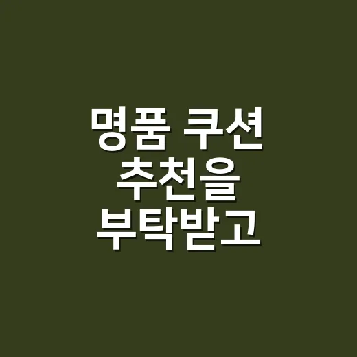 명품 쿠션 추천을 부탁받고 손부터 봤던 날 - 요약