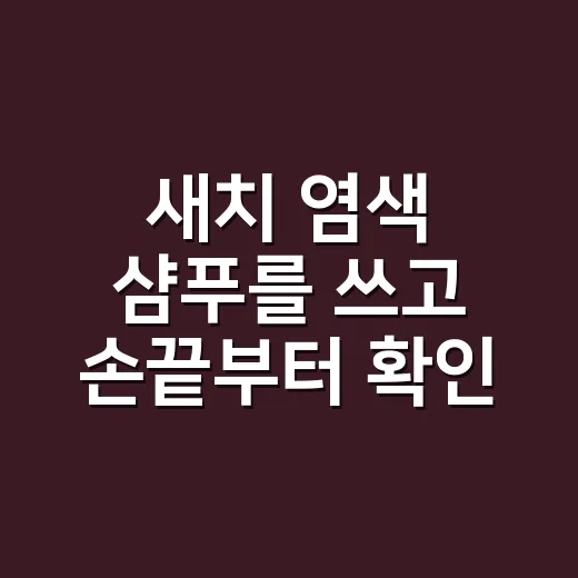 새치 염색 샴푸를 쓰고 손끝부터 확인하게 된 이유 - 요약