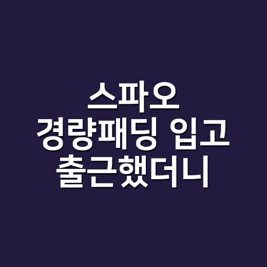 스파오 경량패딩 입고 출근했더니 손끝이 달랐다 - 요약