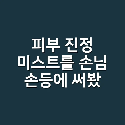 피부 진정 미스트를 손님 손등에 써봤더니 - 요약