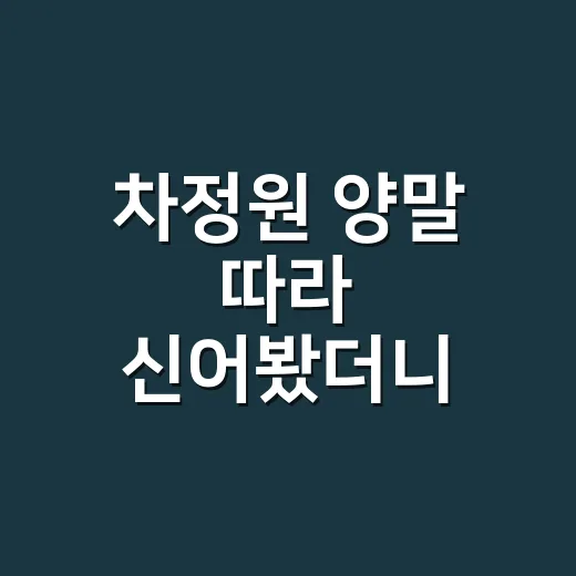 차정원 양말 따라 신어봤더니 손끝 색도 달라 보였다 - 요약