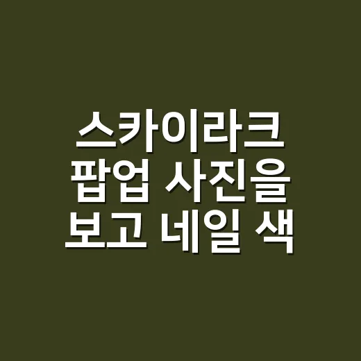 스카이라크 팝업 사진을 보고 네일 색부터 떠올랐다 - 요약