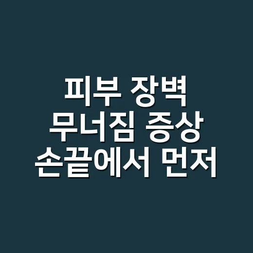 피부 장벽 무너짐 증상 손끝에서 먼저 보였어요 - 요약