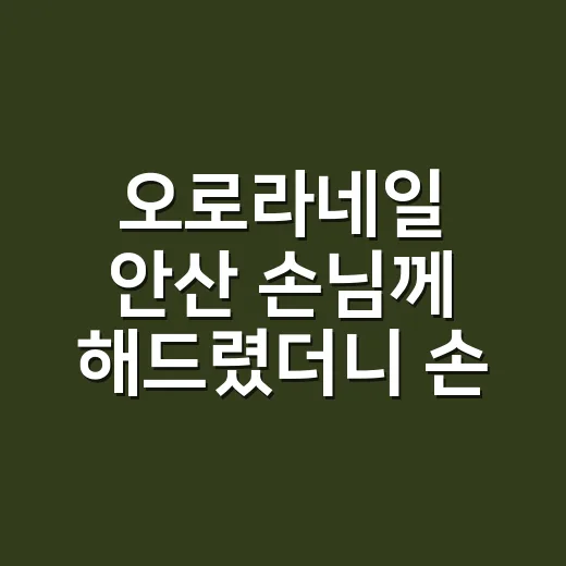오로라네일 안산 손님께 해드렸더니 손끝이 달라졌다 - 요약