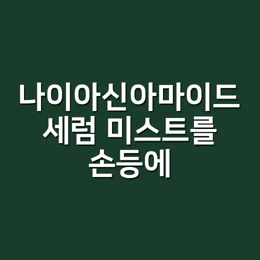 나이아신아마이드 세럼 미스트를 손등에 써본 이야기 - 요약