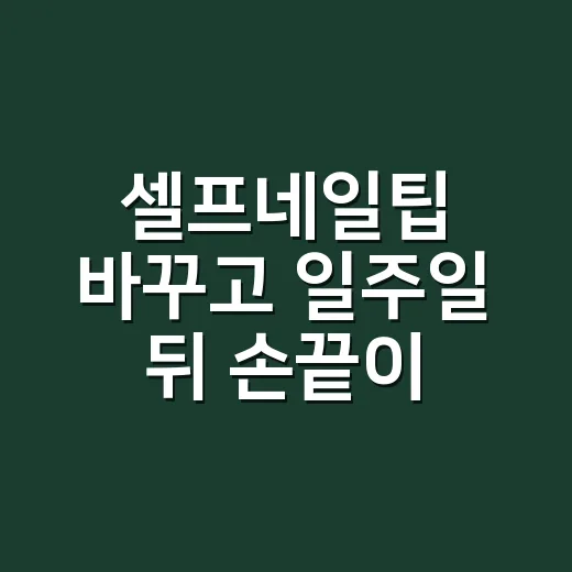 셀프네일팁 바꾸고 일주일 뒤 손끝이 달라졌다 - 요약