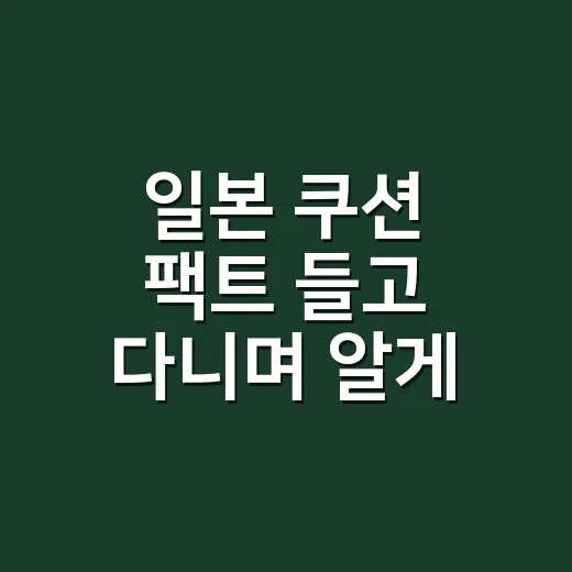 일본 쿠션 팩트 들고 다니며 알게 된 것 - 요약