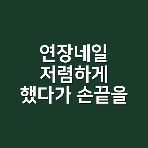 연장네일 저렴하게 했다가 손끝을 다시 본 이야기 - 요약