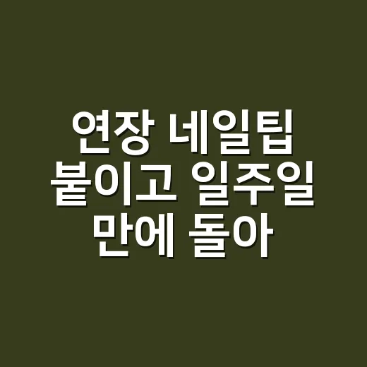 연장 네일팁 붙이고 일주일 만에 돌아온 손님 이야기 - 요약