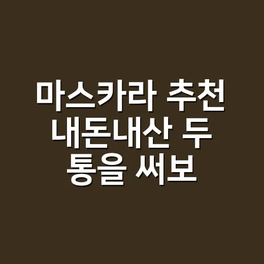 마스카라 추천 내돈내산 두 통을 써보니 - 요약