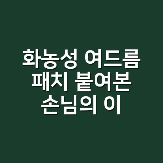 화농성 여드름 패치 붙여본 손님의 이야기 - 요약