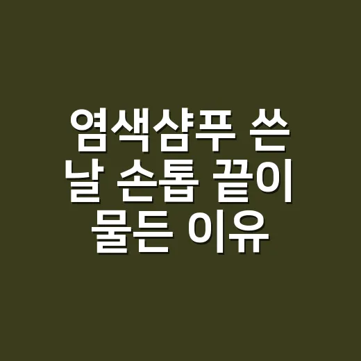 염색샴푸 쓴 날 손톱 끝이 물든 이유 - 요약