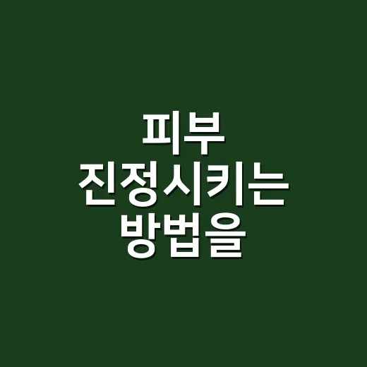 피부 진정시키는 방법을 손끝에서 배웠어요 - 요약