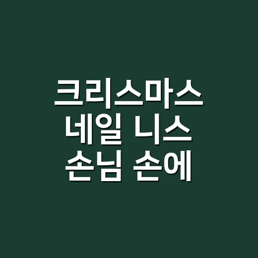 크리스마스 네일 니스 손님 손에 올려봤더니 - 요약