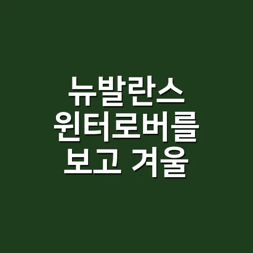 뉴발란스 윈터로버를 보고 겨울 네일 색을 골랐다 - 요약
