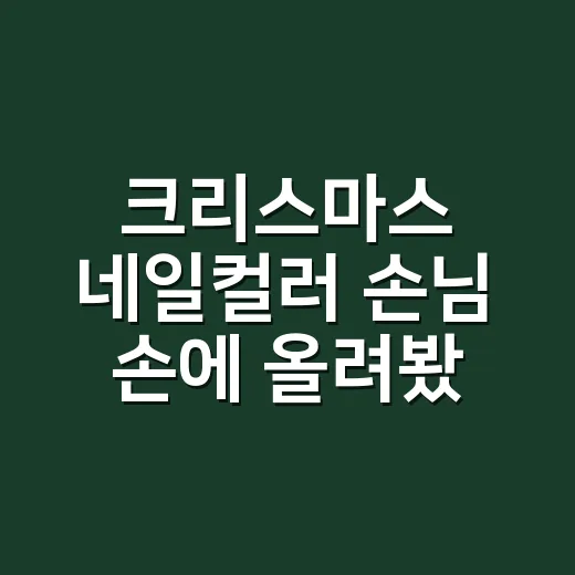 크리스마스 네일컬러 손님 손에 올려봤더니 - 요약