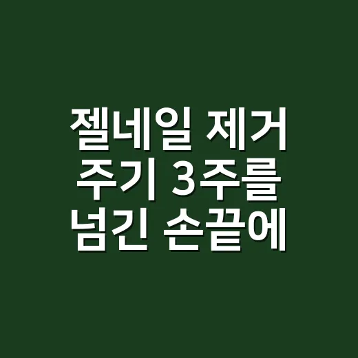 젤네일 제거 주기 3주를 넘긴 손끝에서 본 것 - 요약