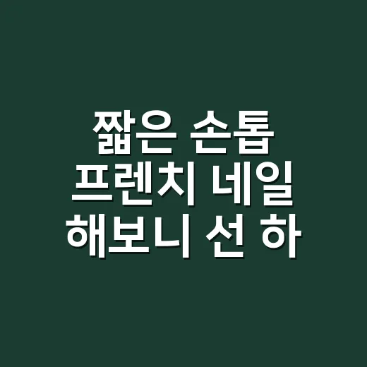 짧은 손톱 프렌치 네일 해보니 선 하나가 달랐다 - 요약