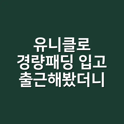유니클로 경량패딩 입고 출근해봤더니 - 요약