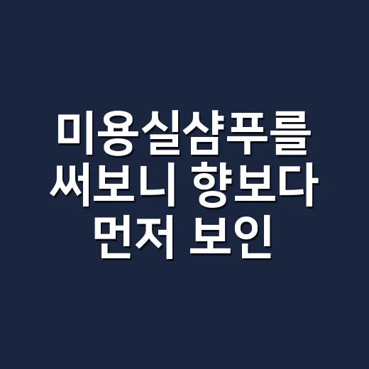 미용실샴푸를 써보니 향보다 먼저 보인 것 - 요약