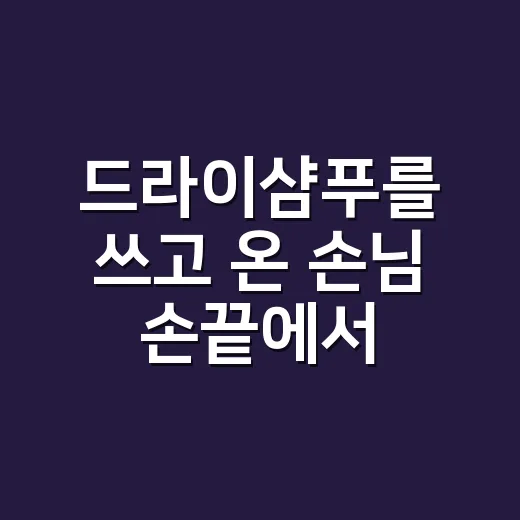 드라이샴푸를 쓰고 온 손님 손끝에서 배운 것 - 요약