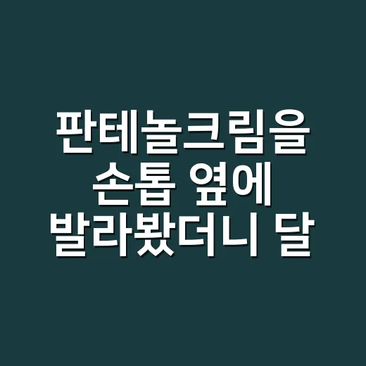 판테놀크림을 손톱 옆에 발라봤더니 달라진 것 - 요약
